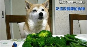 吃什么饭！睡什么觉！元旦统统加班